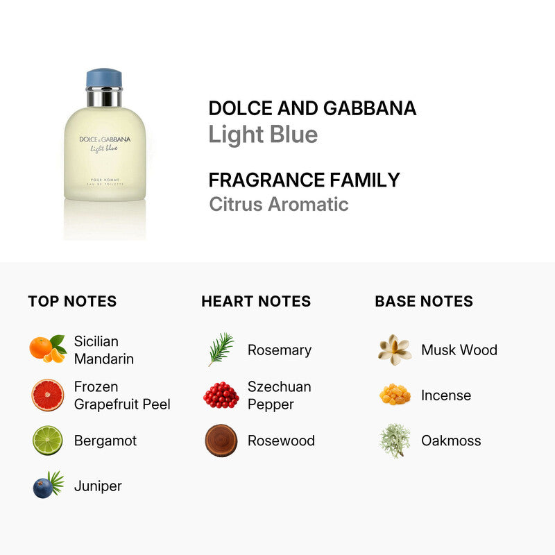 Dolce & Gabbana Light Blue Eau de Toilette Spray for Men 3.4 oz