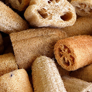 Natural Loofah Sponge