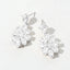 Clear, Silver