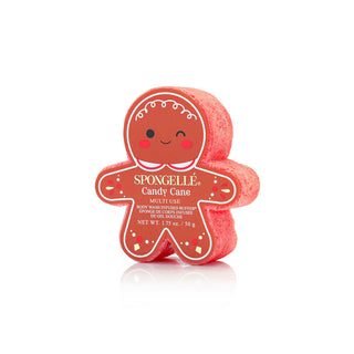 Holiday Gingerbread Multi-Use Assorted Pack - Glamourous Grace