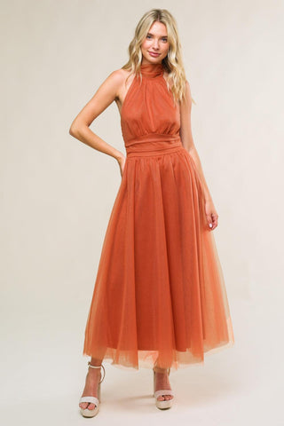 EVERY NOW AND THEN MESH MIDI DRESS - Glamourous Grace