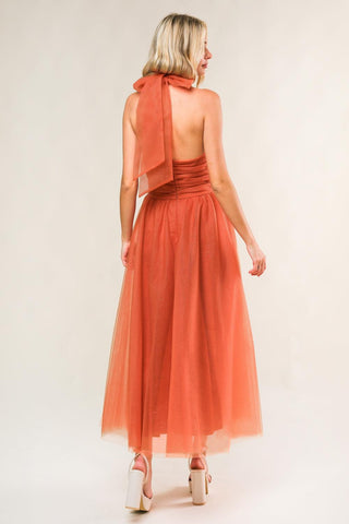 EVERY NOW AND THEN MESH MIDI DRESS - Glamourous Grace