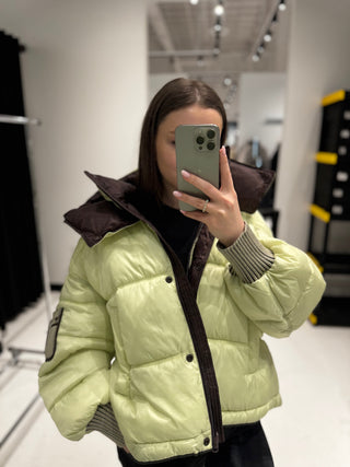 Reversible Hooded Bio-Down Jacket in Lemon/Chocolate