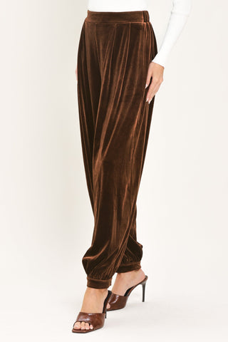 COCOA CITY BROWN TAILORED PANTS