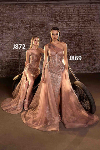 Ladivine J869 Long Fitted Tulle One Shoulder Strap Illusion Neck Gown