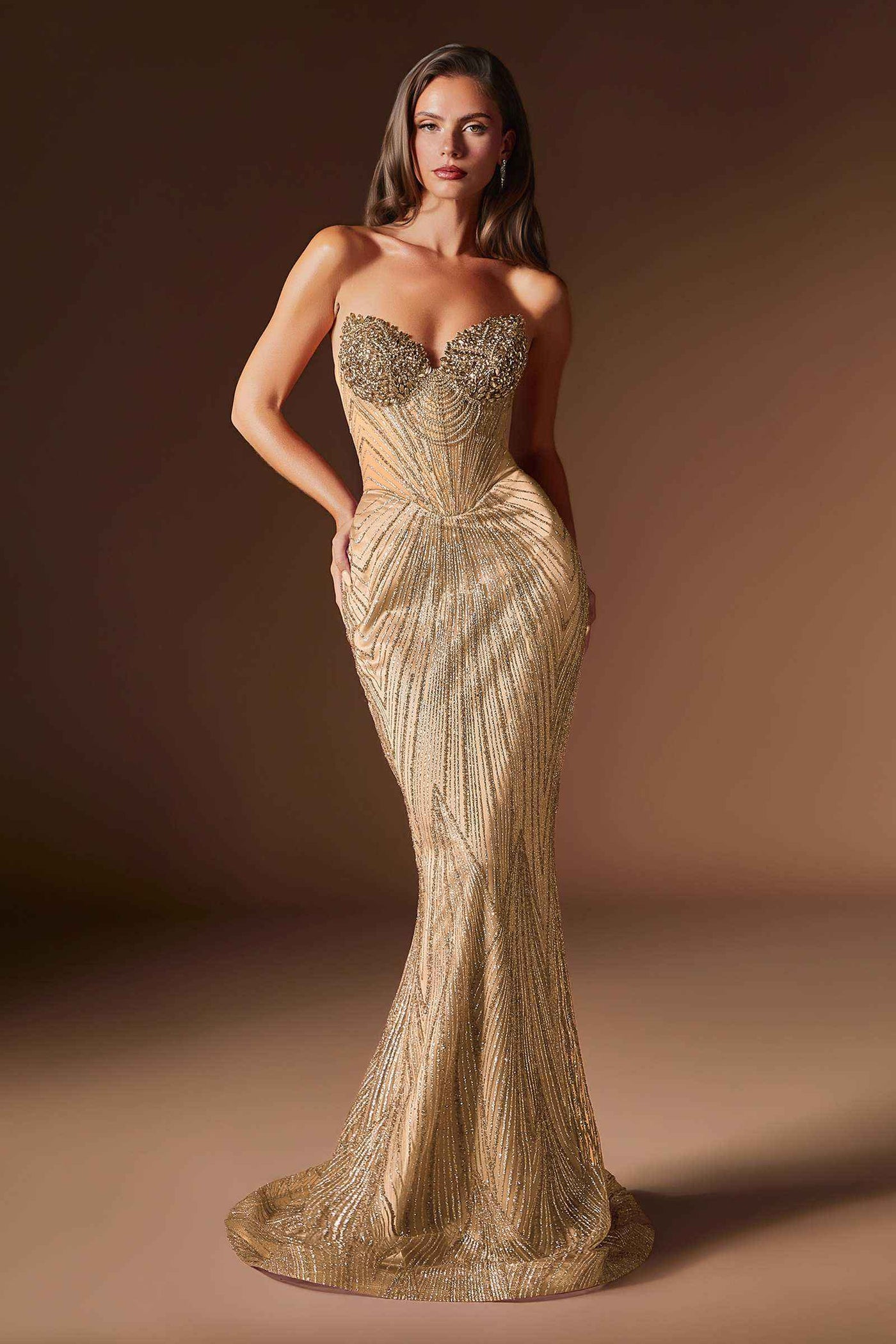 CLEARANCE - Ladivine J903 Crystal Sheer Corset Bodice Fitted Gold Gown (Size 6) - Glamourous Grace