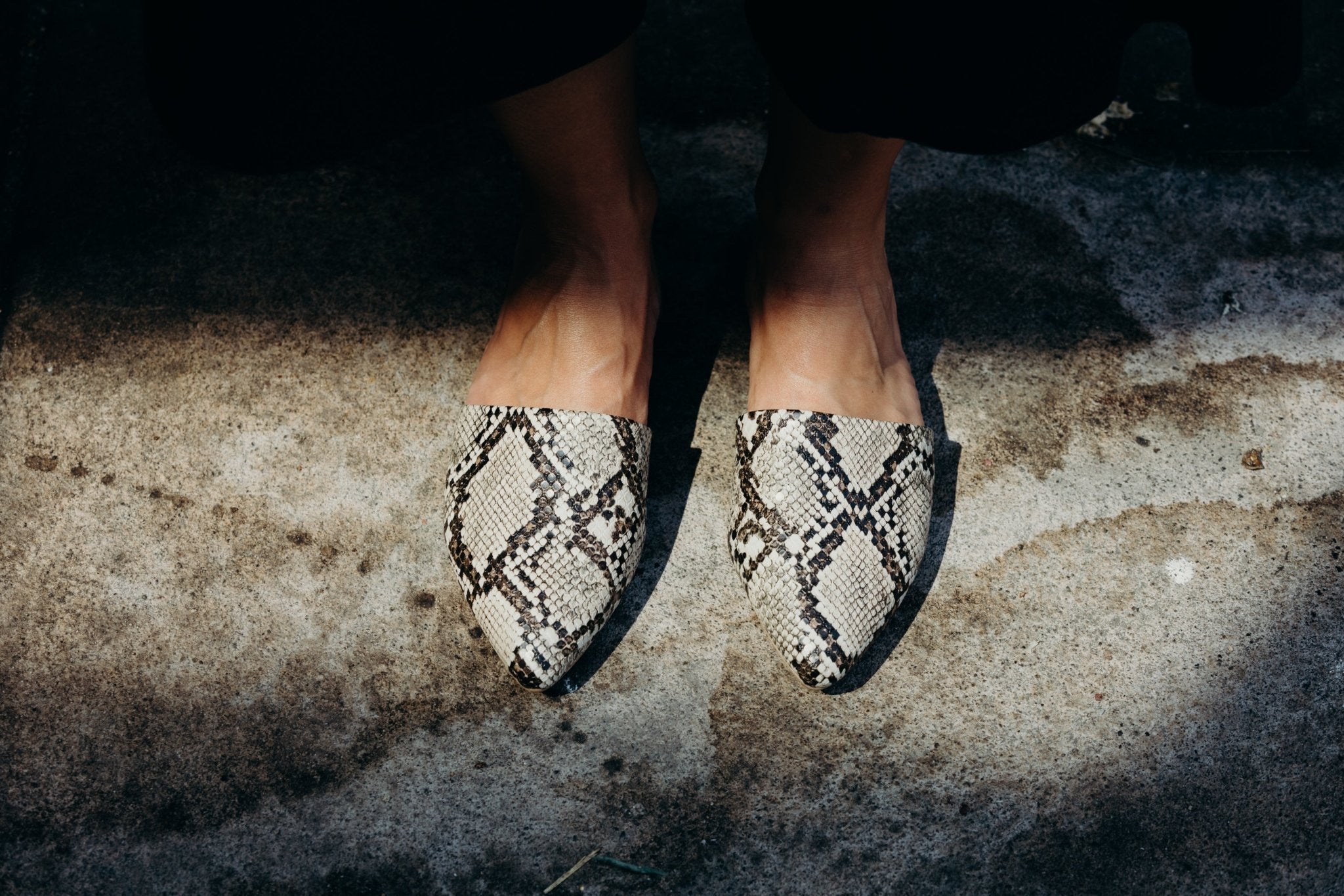 Lennox | Brown Snake - Glamourous Grace