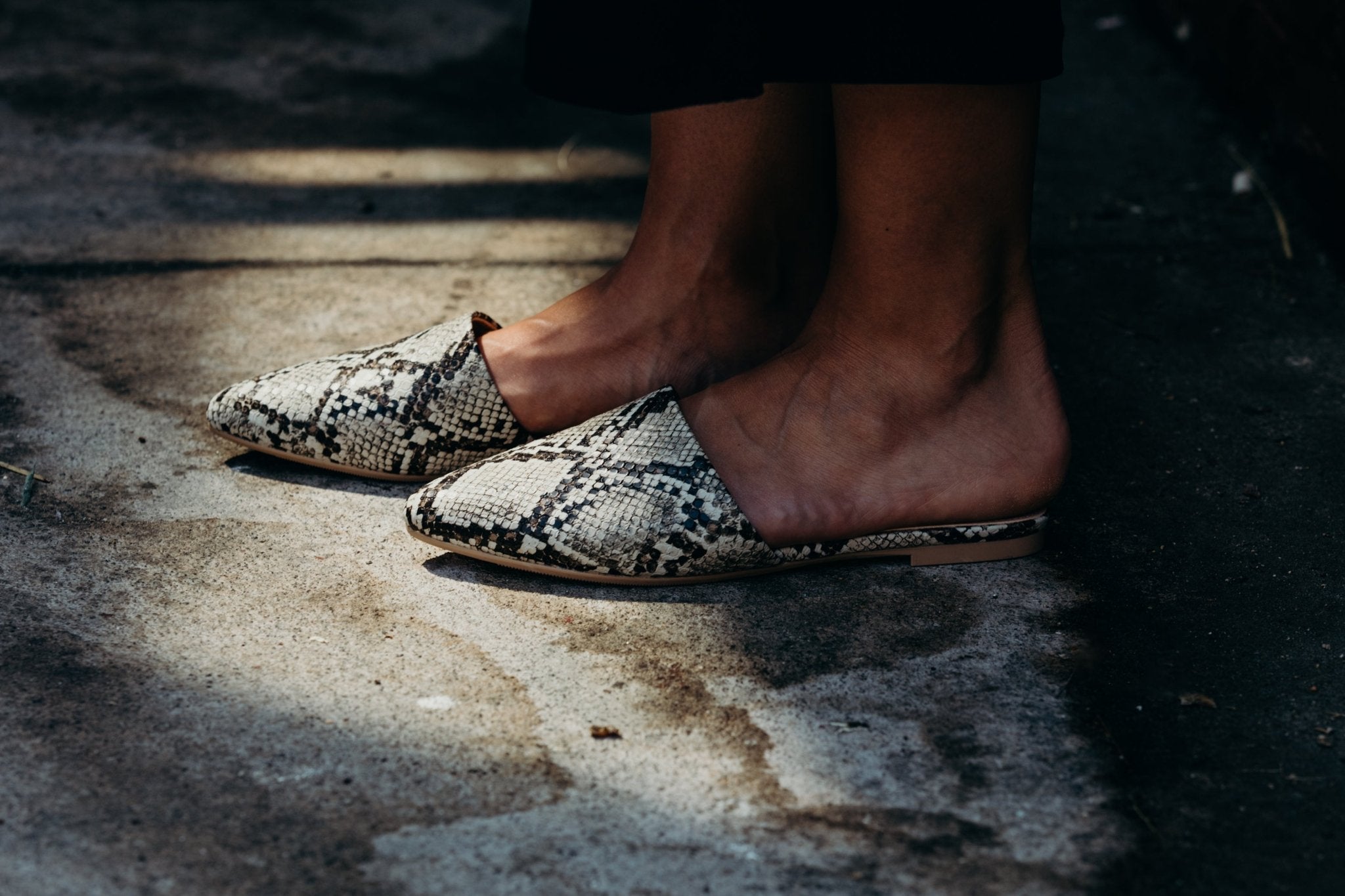 Lennox | Brown Snake - Glamourous Grace