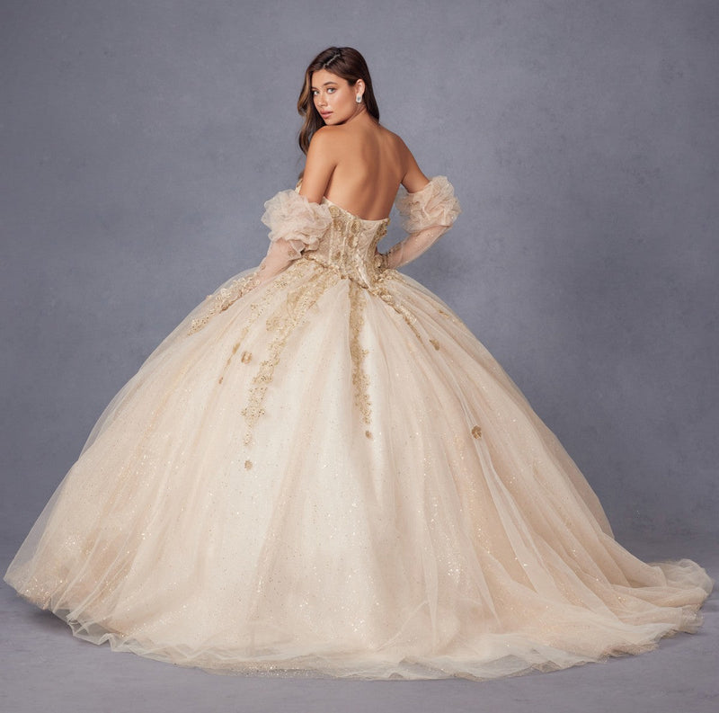 Juliet JT1465H Dress 3d Flowers Applique Puff Sleeve Quinceanera Dress