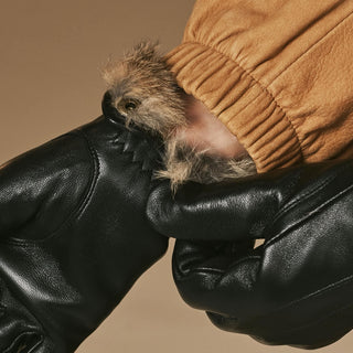 Julietta (black) - Lambskin leather gloves with plush rabbit fur lining and touchscreen feature - Glamourous Grace