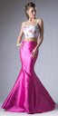 Fuchsia