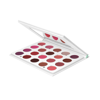 Pro Palette - Liplock