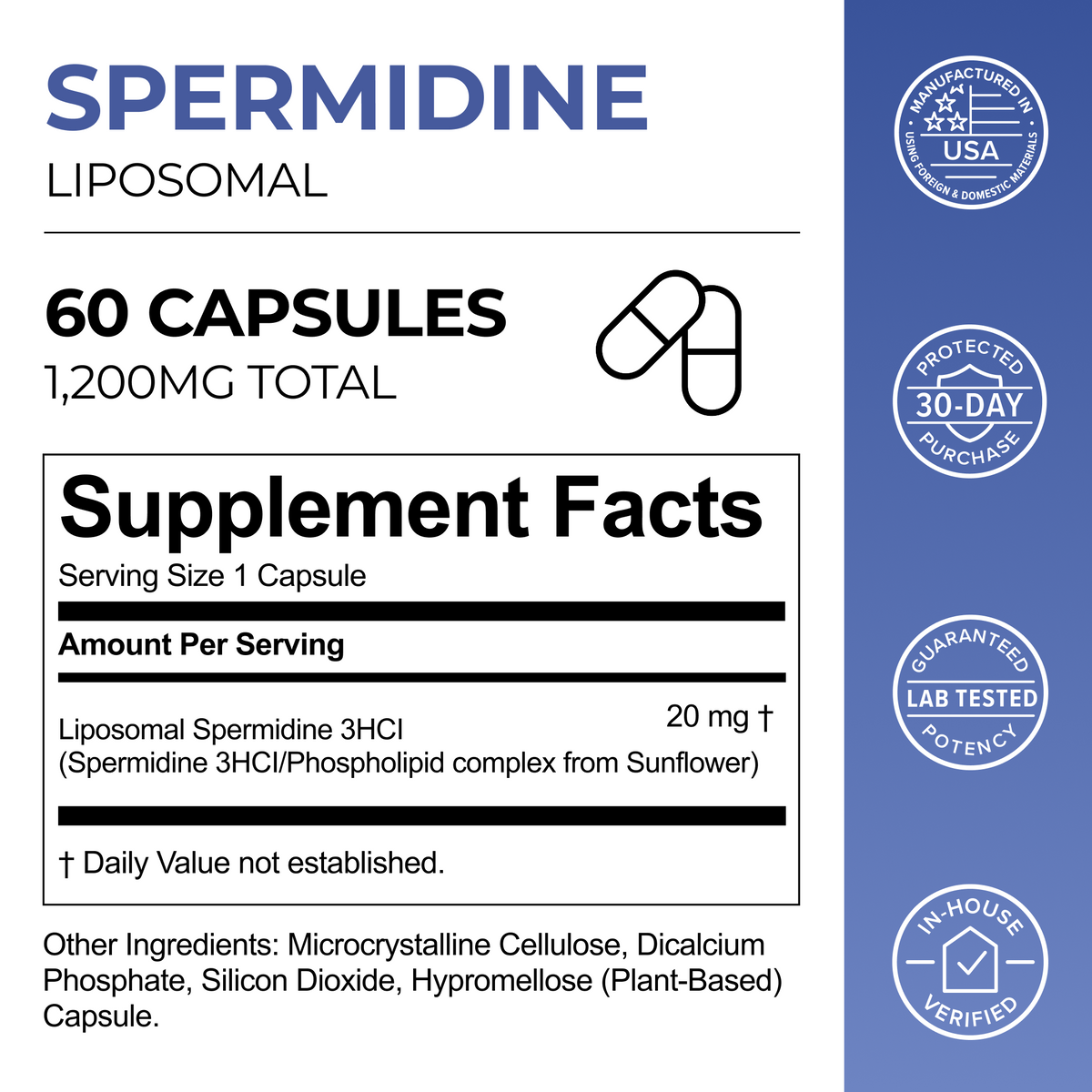 Liposomal Spermidine Capsules