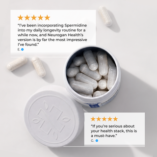 Liposomal Spermidine Capsules
