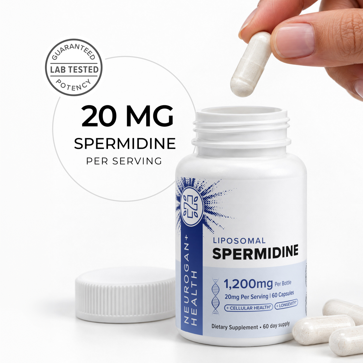 Liposomal Spermidine Capsules