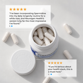 Liposomal Spermidine Capsules