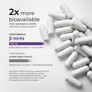 NMN Capsules 900mg