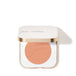 Flourish - soft coral