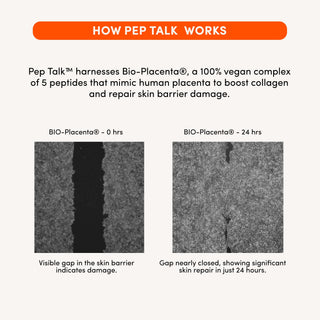 PEP TALK™ Bio-Peptide Barrier Repair Cream with Triple Lipid Complex
