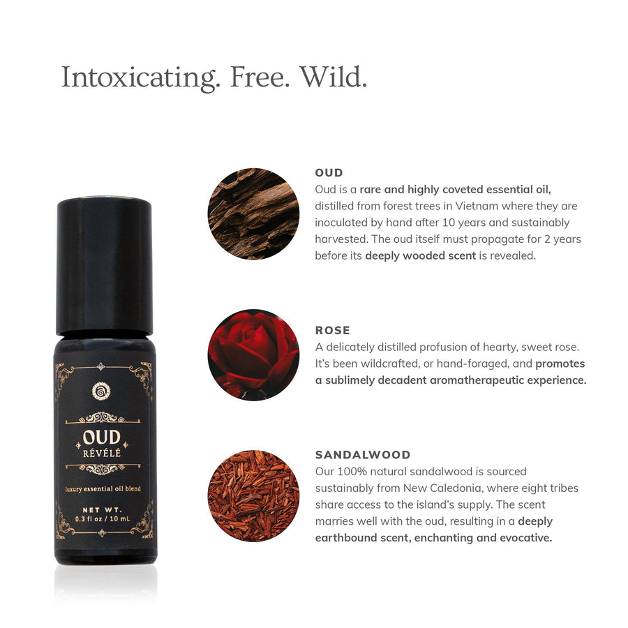 Oud Révélé (10ml)- Collective - Glamourous Grace