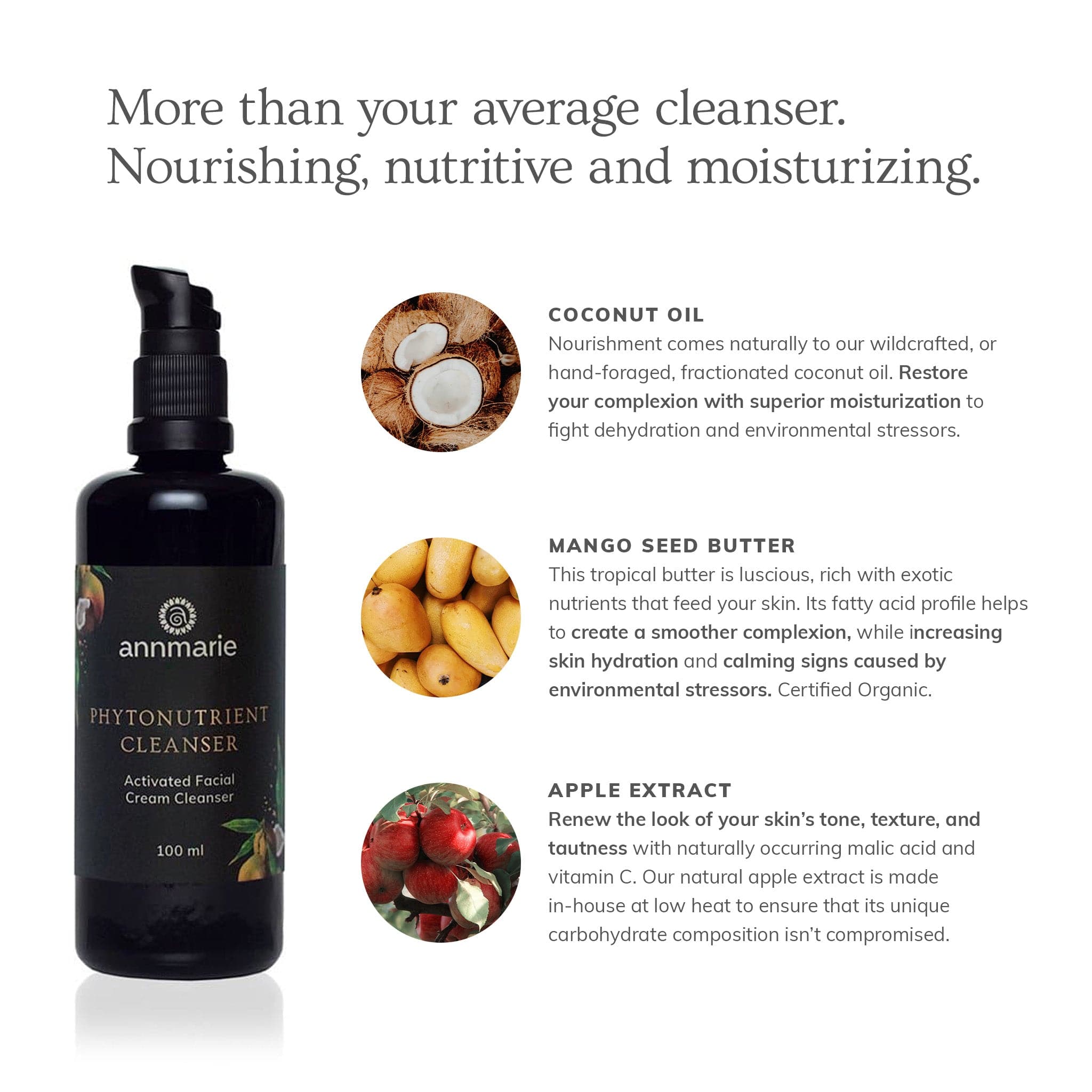 Phytonutrient Cleanser - Activated Facial Cream Cleanser (100ml)- Collective