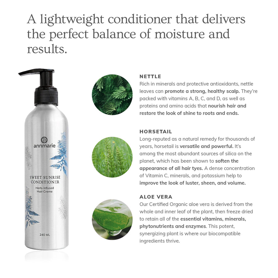 Sweet Sunrise Conditioner (240ml)- Collective - Glamourous Grace