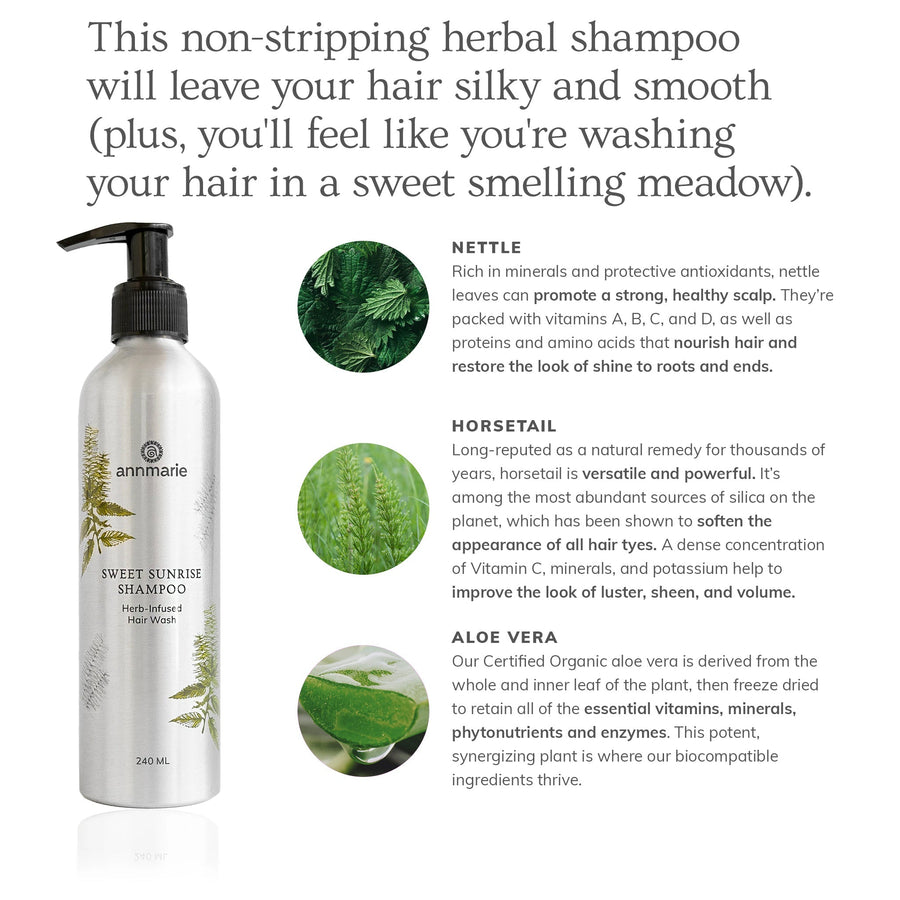 Sweet Sunrise Shampoo (240ml)- Collective - Glamourous Grace
