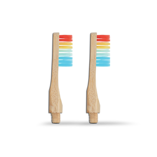 Revolve Toothbrush Starter Set