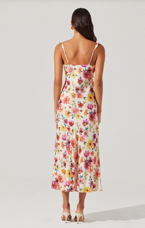 Zole Dress