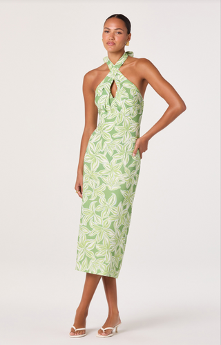 Anita Tropical Lime Floral Dress - Glamourous Grace