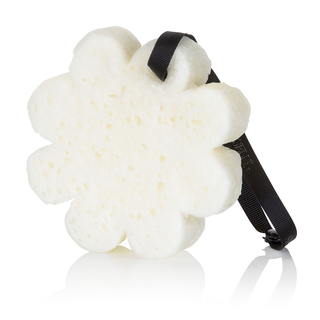Tobacco Vanilla | Boxed Flower - Glamourous Grace