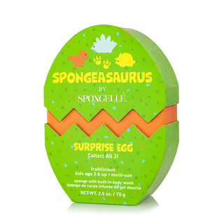 Stegosaurus Dinosaur Buffer - Glamourous Grace