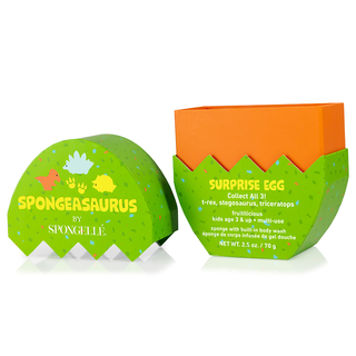 Stegosaurus Dinosaur Buffer - Glamourous Grace