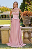 Dusty Rose
