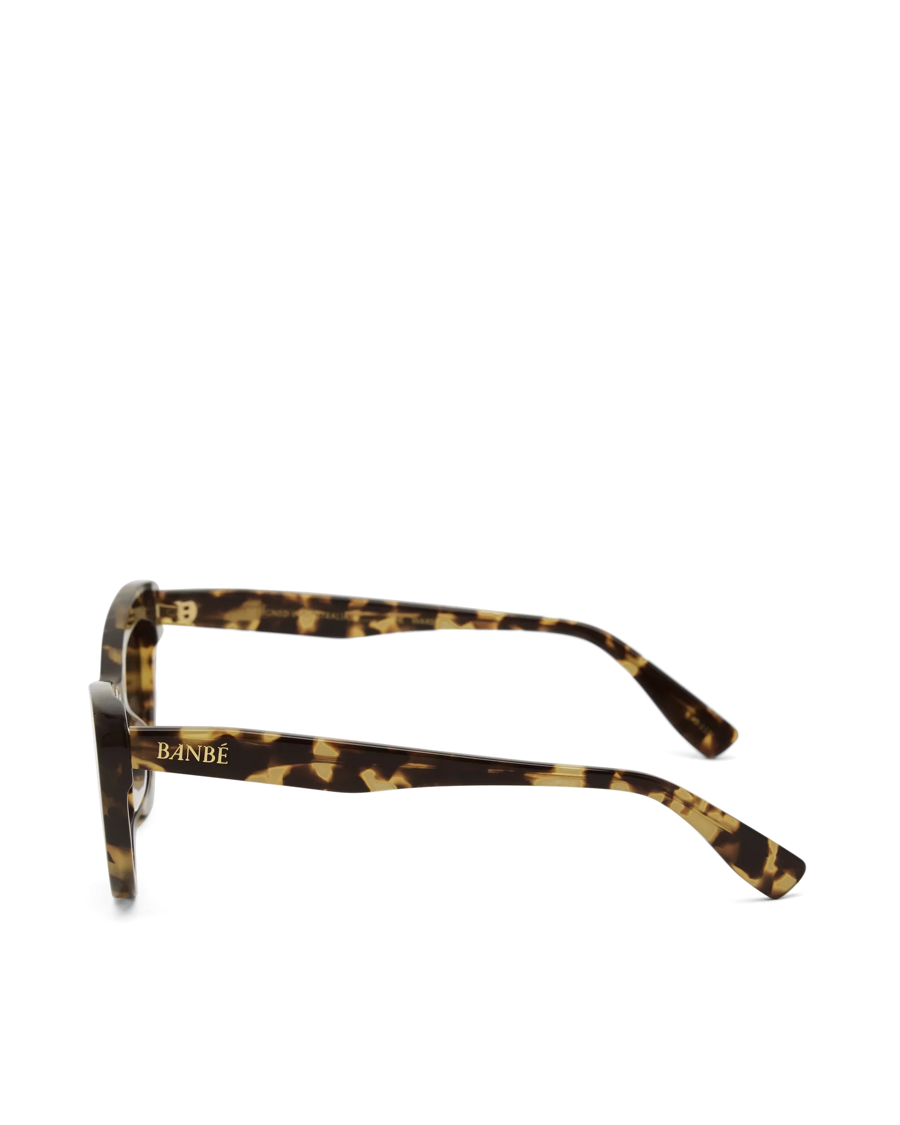 The Ward Sunglasses | Cloud Tort Choc
