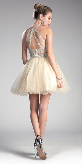 Ladivine UJ0119 Short Appliqued Bodice Halter Tulle Skirt Dress