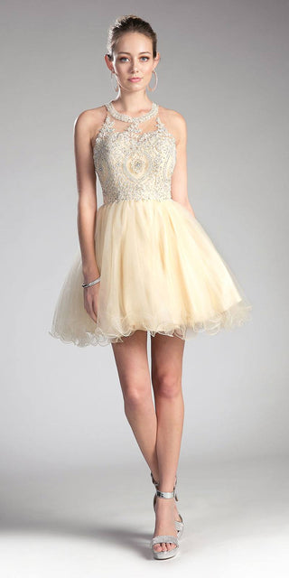 Ladivine UJ0119 Short Appliqued Bodice Halter Tulle Skirt Dress