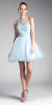 Ice Blue