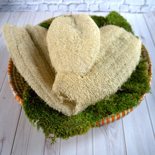 Ugandan Exfoliator Natural Loofah (Ekyangwe)