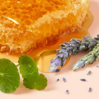 Nuxe Reve De Miel: Intensive Honey Hand Cream for Dry, Damaged Skin | Repairing & Moisturizing with Centella Asiatica - Glamourous Grace