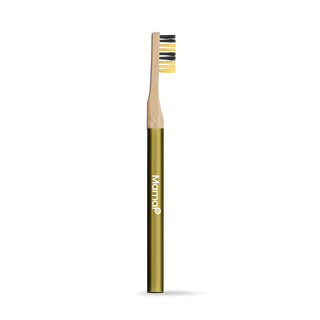 Revolve Manual Toothbrush with Replaceable Head - Save the Bees