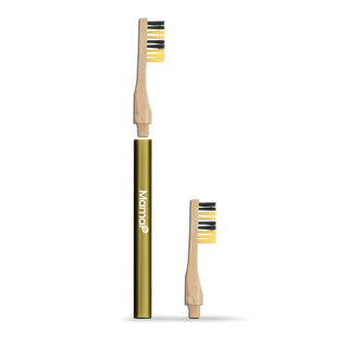 Revolve Toothbrush Starter Set