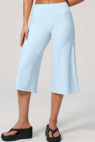 The Nexus Wide-Leg Crop