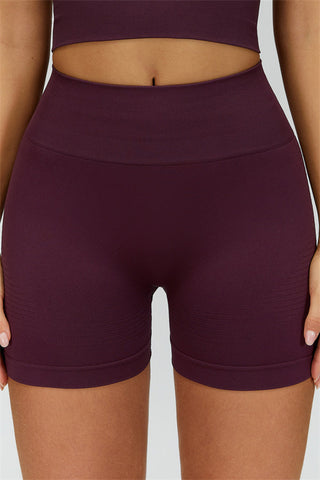 The Delight Halter Top Shorts 2-Piece Set
