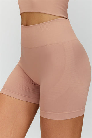 The Delight Shorts