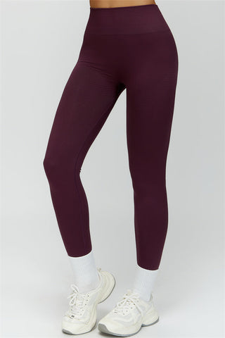 The Delight Jacket Leggings 2-Piece Set