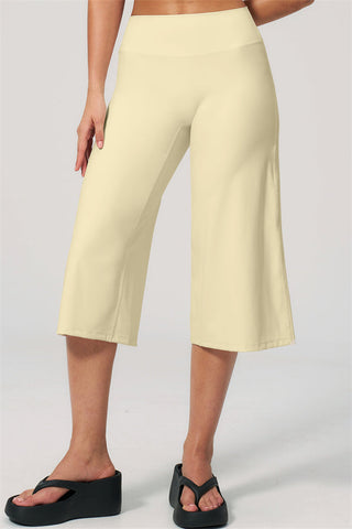 The Nexus Wide-Leg Crop