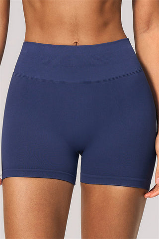 The Velvetine Sports Bra Shorts 2-Piece Set