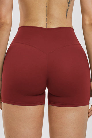 The Elixir Shorts