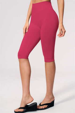 The Allure Sports Bra Capri Leggings 2-Piece Set